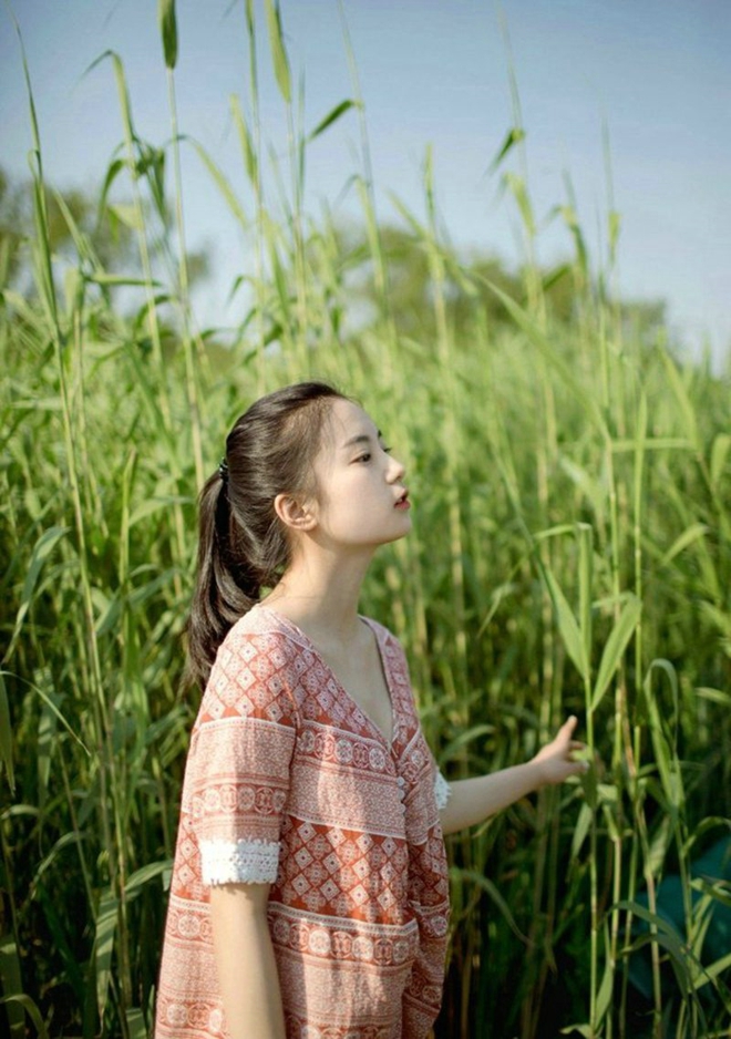 那年夏天的台风